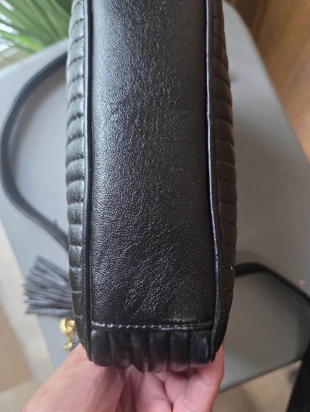 Anne Klein lion front